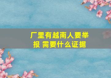 厂里有越南人要举报 需要什么证据